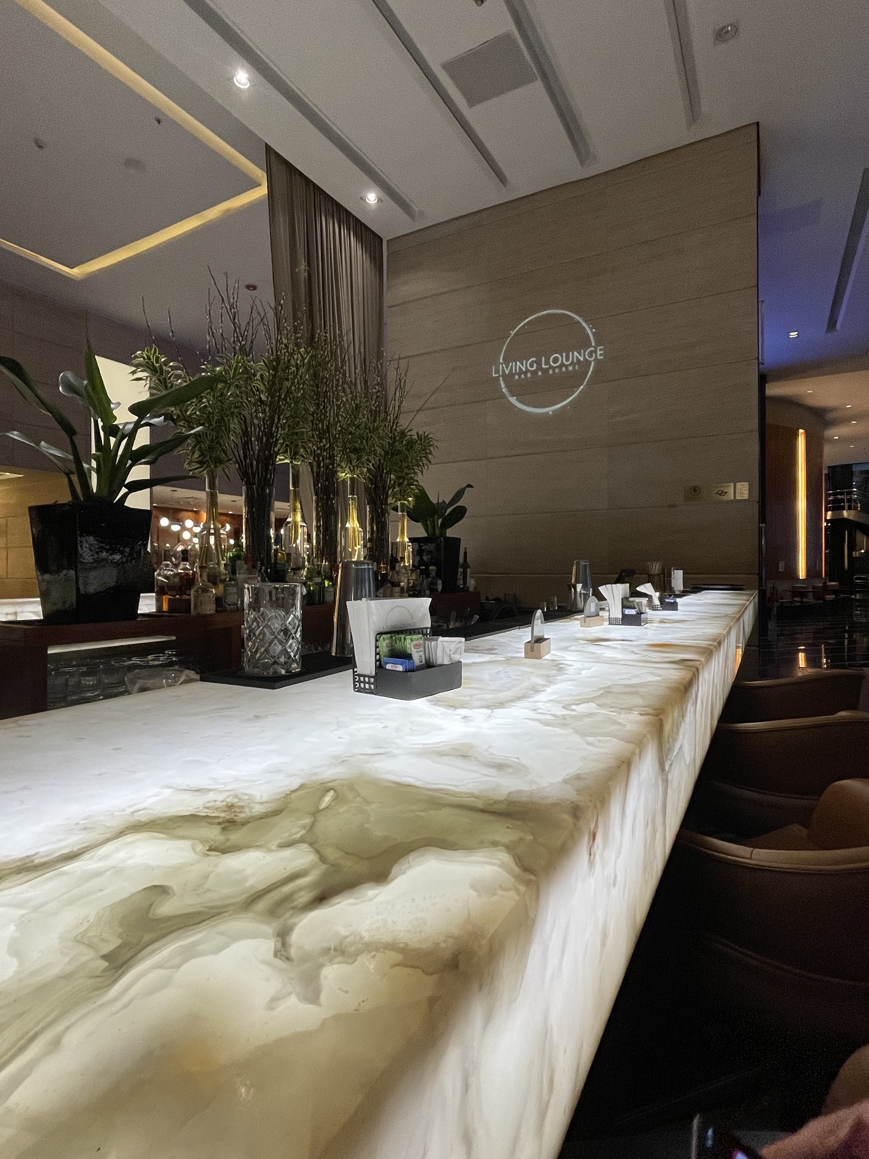 Lobby de hotel com jardim interno
